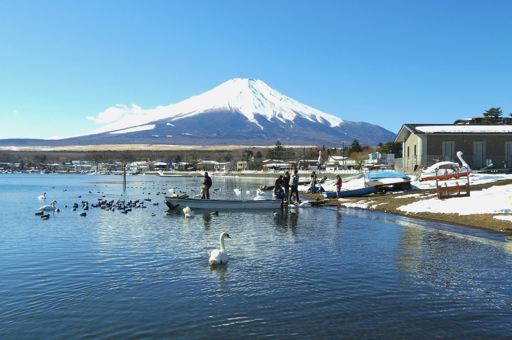 Zero-Project Japan Guesthouse 山中湖村 エクステリア 写真